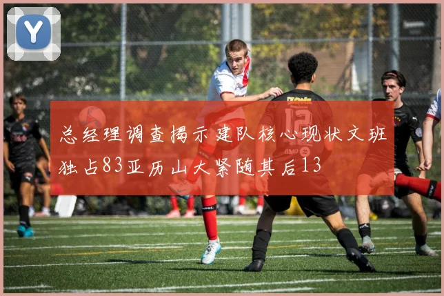 总经理调查揭示建队核心现状文班独占83亚历山大紧随其后13